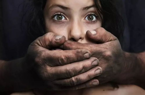 中国人在德国冒充女性犯下四起强奸案，深入剖析与反思