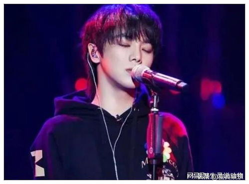 华晨宇遗失价值31万耳钉终寻回，音乐巨星的珍贵宝藏