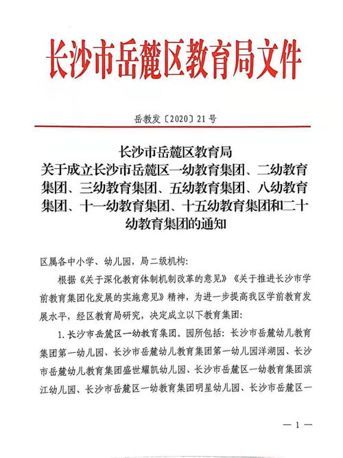 徐艺洋幼师之路，幼师资格证的获得与教育梦想的启航