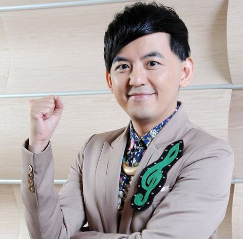 知名主持人黄子佼获刑八个月，公众人物的法律责任与道德反思