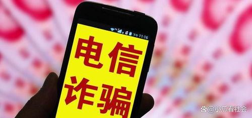 揭秘著名商人两枚萝卜章诈骗300亿的惊天大案