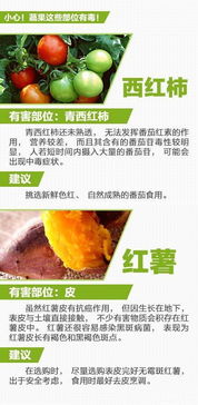 孕妈因食用发霉百草味面包引发宫缩入院，食品安全与健康的重要性