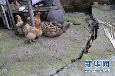 村民家中惊现地陷大坑，全村20余处地质异变揭秘
