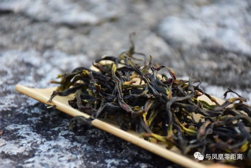 鸭屎香茶叶与鸭屎的神秘关系揭秘