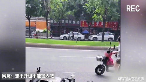 四川小熊猫遭遇意外，疑被车辆撞倒路中