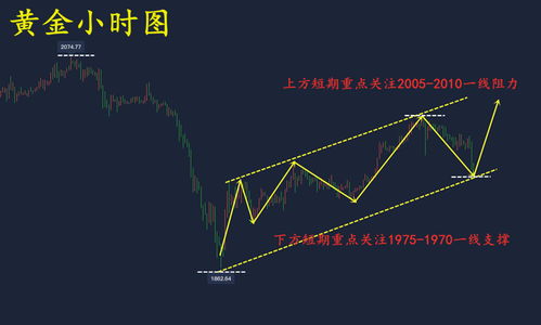 金价深夜跳水，市场波动背后的原因与影响