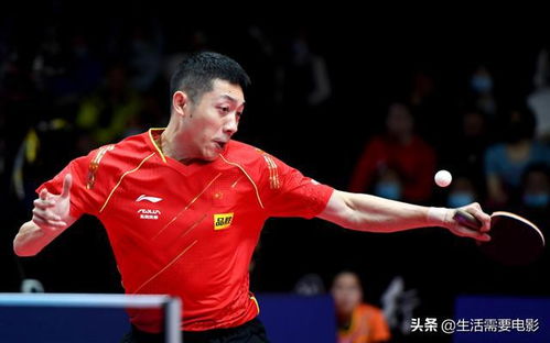林诗栋3-2险胜许昕，一场精彩绝伦的体育对决