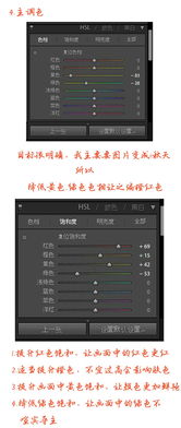 华为P头FC功能详解，华为P头FC功能全解析