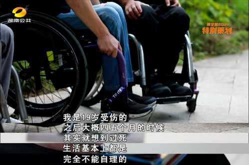 男子轮椅疾驰高速，挑战与勇气的故事