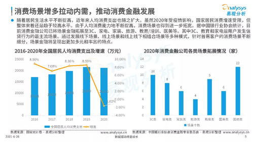 年轻人四个月内花费数十万购买谷子，消费观念的反思与探讨