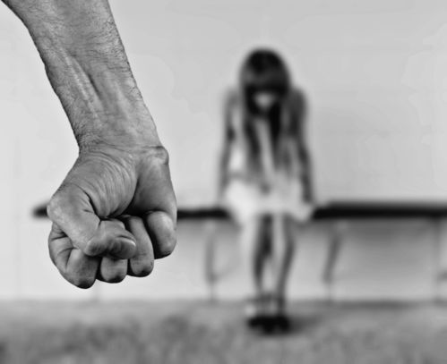 法国男子邀50人性侵妻子案，法律与道德的双重审判