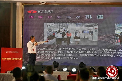 老师荣膺世界冠军，学校面临课程资源争夺战