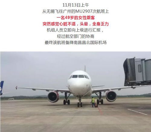 西藏航空一航班意外返航，官方通报与事件分析