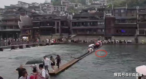 女子乘船奇遇，江中惊现两头野猪渡河