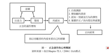 探究休耻感的成因与心理机制