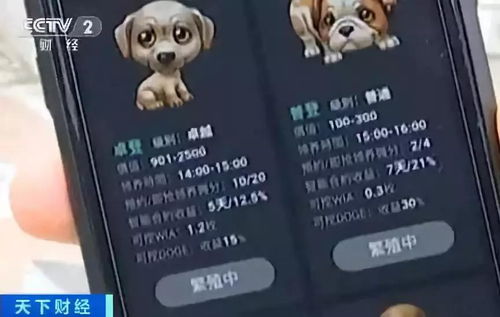 揭秘央视曝光，电子医保卡村推骗局