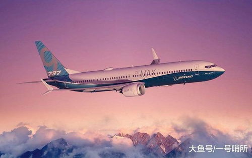波音737-800事故，韩国与荷兰的悲剧