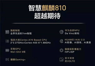 华为悬赏300万元求解难题，科技巨头挑战的背后与未来展望