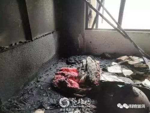 女子充电器未拔，火灾瞬间烧光家中一切