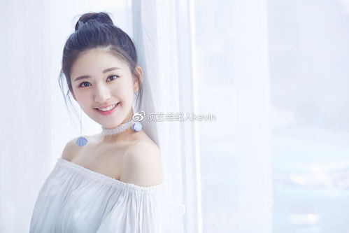 赵露思经纪公司致歉事件深度解析