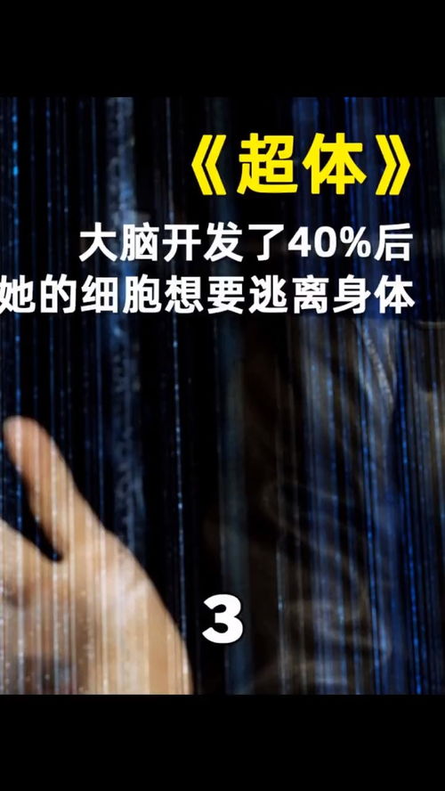跨越时光的年轮——我的跨年记忆