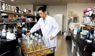 清华女硕士失业后勇敢转行学厨，从学术殿堂到烹饪艺术的华丽转身
