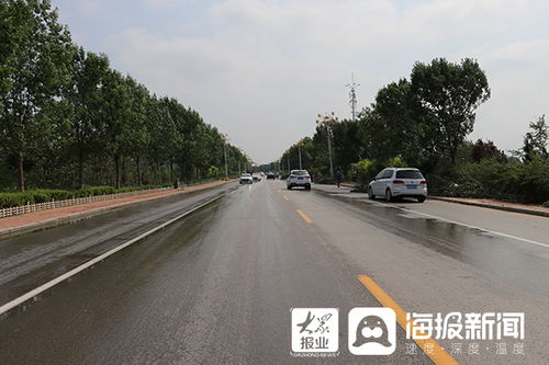 当地积极应对，道路立杆上约挂10个摄像头引发关注