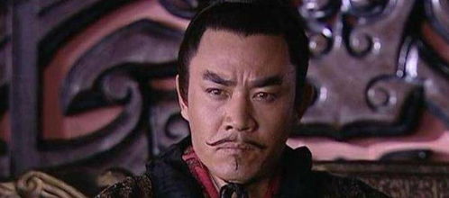汉武帝最后一位丞相墓疑被发现，历史之谜的揭晓