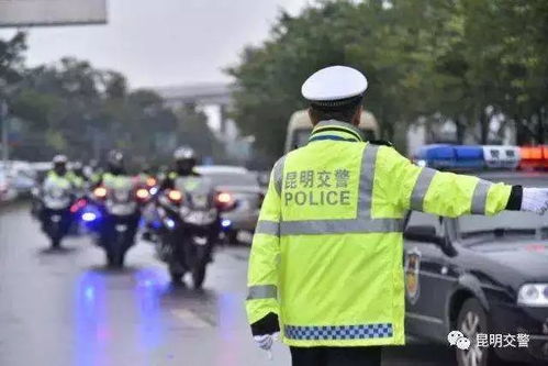 交警回应健走团过桥占用机动车道事件，安全与秩序的双重考量