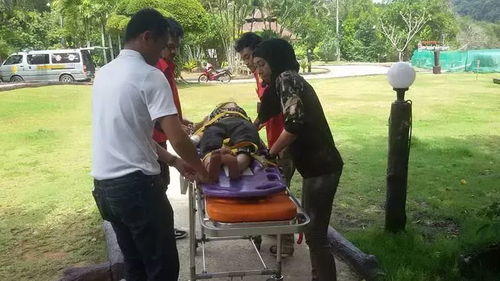 悲剧的背后，女游客在泰国给大象洗澡意外身亡