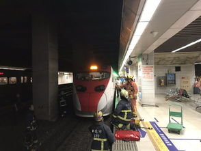 悲剧瞬间，两名中国游客在日本不幸遭遇列车撞击身亡