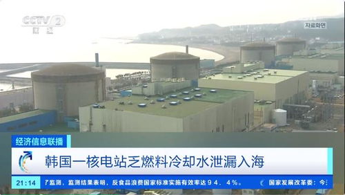 韩国一核电站泄漏29吨核废液，环境影响与应对措施