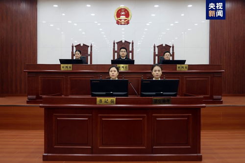 中国太平保险原副总经理肖星获无期徒刑，金融腐败的沉重代价