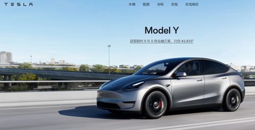 特斯拉新Model Y热销狂潮，市场火爆背后的原因与展望