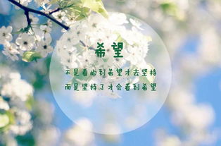 托起希望，我愿烂在泥里