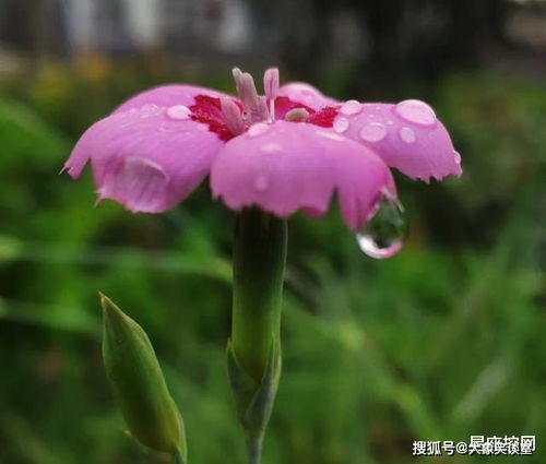 时隔七年再现增长，出生人口突破52万背后的社会现象