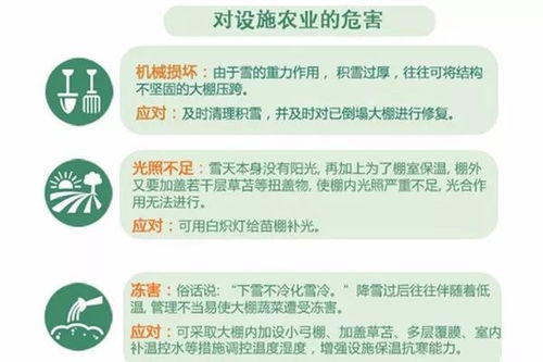 下周今年来最大范围雨雪来袭，气象预警与应对策略