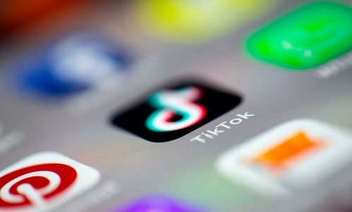 特朗普发帖呼吁挽救TikTok，社交媒体的未来与国家安全