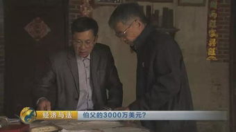 电视剧漂白侵权风波，前记者控诉揭真相