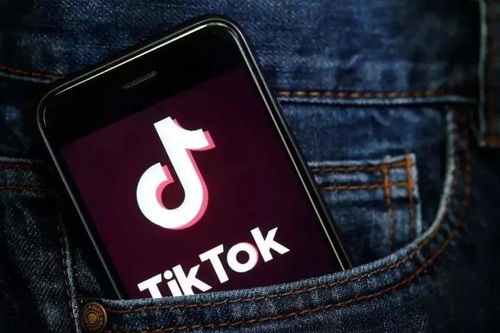 美国欲求TikTok 50%股份，商务部权威回应