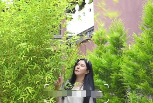 岁月静好，王祖贤现身寺庙风采依旧朴素