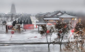 西安雪景——雪下东北气势的独特魅力