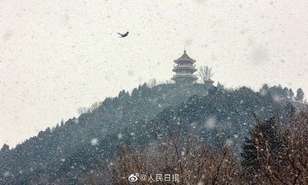 暴雪下的春运回家路，艰辛中的坚韧与温情