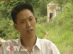 倪萍与宋丹丹的深情救赎，一次生命中的温暖相遇