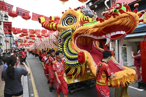 全球共庆中国年
