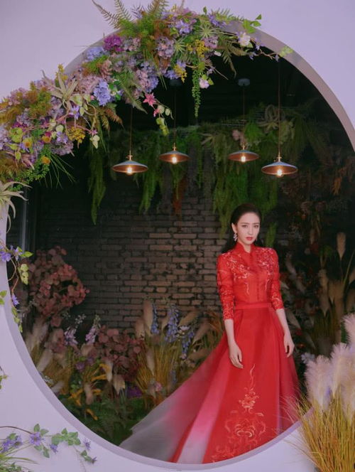 佟丽娅晒美照迎新春，传递温馨拜年祝福