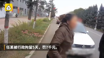 女婿回丈母娘家意外翻车，劈柴中的温情与挑战