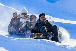 冰雪同梦，追寻冬日的梦幻之旅