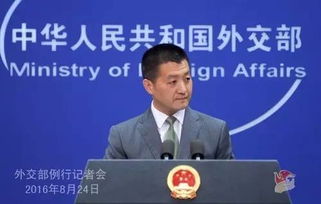 外交部证实，卢沙野履新——新职务下的责任与展望