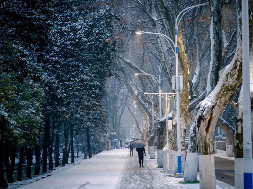 竞技冰雪，热雪燃冬——冰天雪地中的激情与荣耀